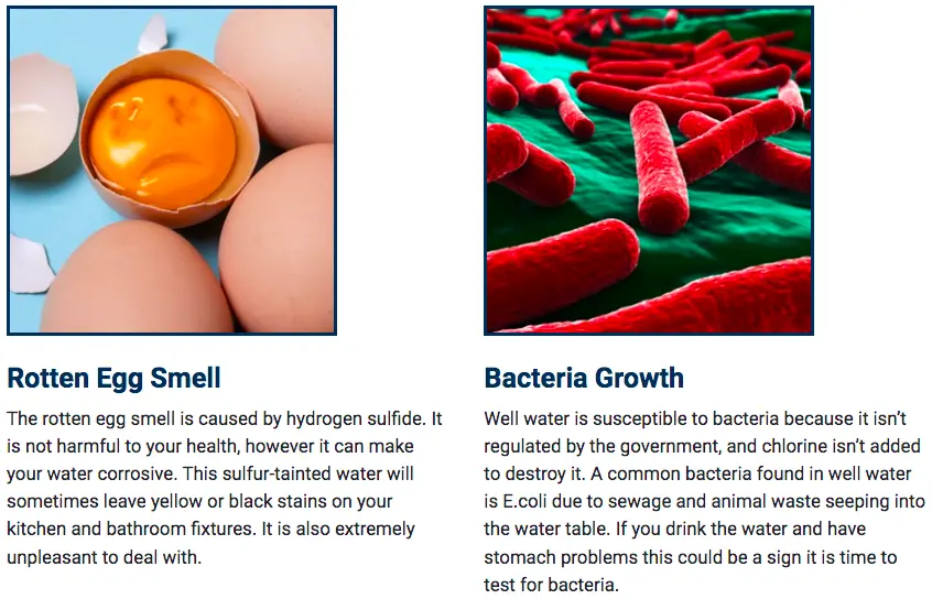 rotten-egg-smell-bacteria-growth